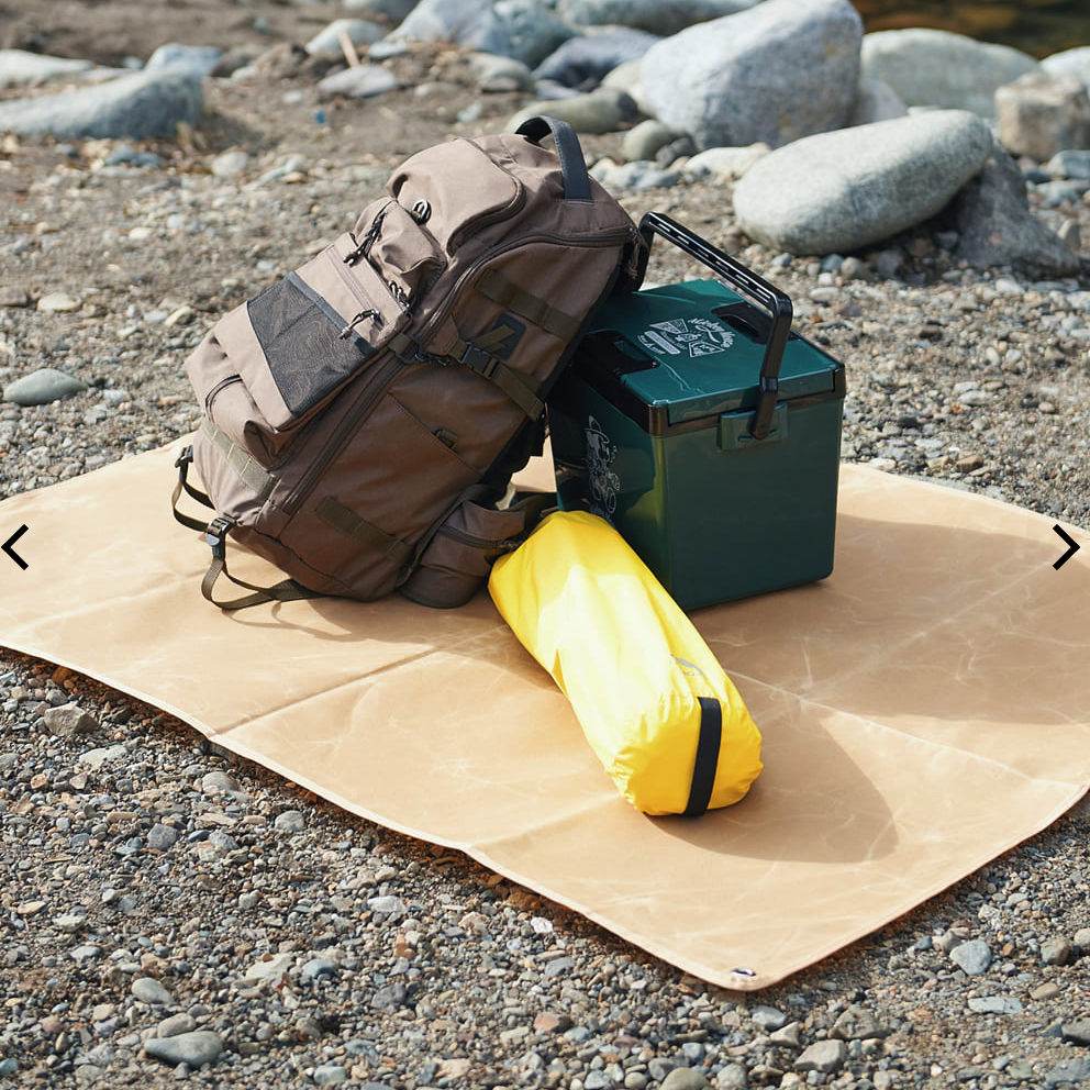 フィールドシートの使用画像